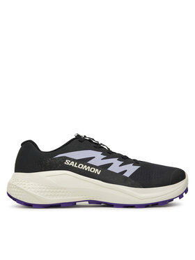 Salomon Salomon Laufschuhe Alphaglide L47801800 Grau