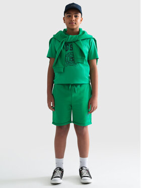 BIG STAR BIG STAR Szorty sportowe SZORTEX_301_110 Zielony Basic Fit