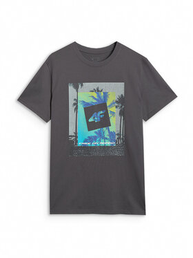 4F 4F T-Shirt FOB SUMMER Szary ciemny Regular Fit