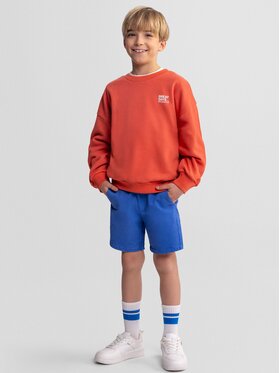 minoti minoti Bluza NOSFLEECE403 Niebieski Regular Fit