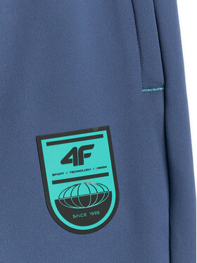 4F 4F Spodnie dresowe FOOTBALL Regular Fit