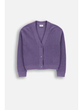 Coccodrillo Coccodrillo Svetr WC6172206CSG-016 Fialová Regular Fit