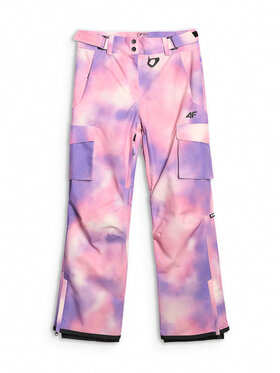 4F 4F Spodnie snowboardowe FREE ON BOARD Kolorowy Regular Fit