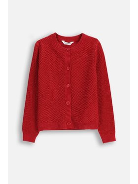 Coccodrillo Coccodrillo Sweter ZC5172202EJG-009 Czerwony Regular Fit