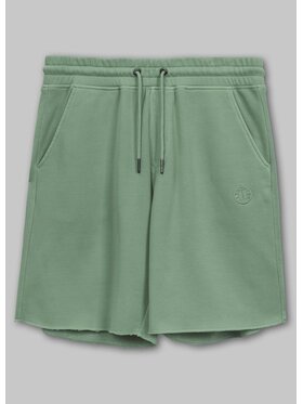 PITBULL PITBULL Szorty sportowe Szorty dresowe Lancaster II 3XL Zielony Regular Fit