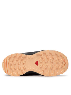 Παπούτσια για Τρέξιμο Salomon φωτογραφία