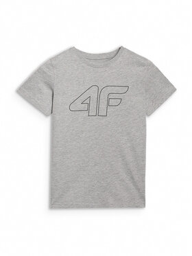 4F 4F T-Shirt BASIC+ Szary Regular Fit