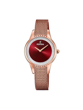 Festina Festina Hodinky Swarovski 20496/1 Zlatá