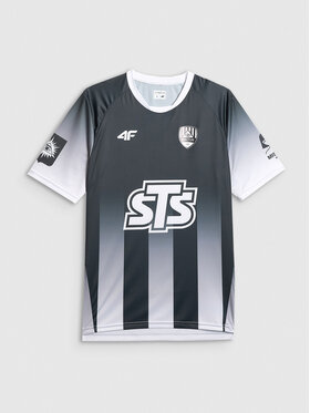4F 4F Koszulka techniczna TEAMWEAR Kolorowy Regular Fit