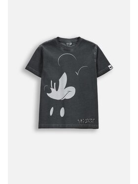 Coccodrillo Coccodrillo T-Shirt WC6143210LBD-020 Szary Regular Fit