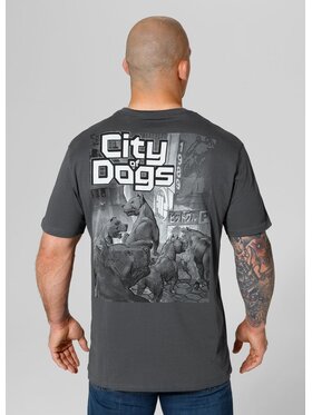 PITBULL PITBULL T-Shirt Koszulka Szary Regular Fit