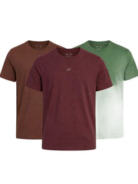 4F 4F T-Shirt Z-TTSHM3947-3-C Biały Regular Fit