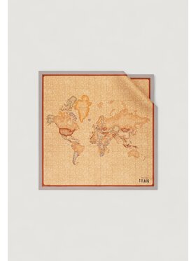 Alviero Martini Prima Classe Alviero Martini Prima Classe Foulard K 3170 ALOE Grigio