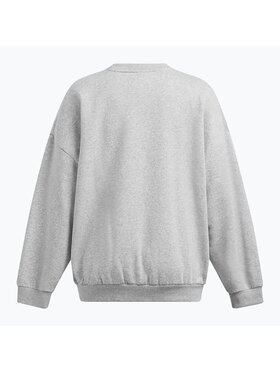Under Armour Under Armour Bluza 1386463-011 Szary Regular Fit