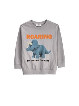 Coccodrillo Coccodrillo Longsleeve ZC6143104WBK-019 Szary Regular Fit