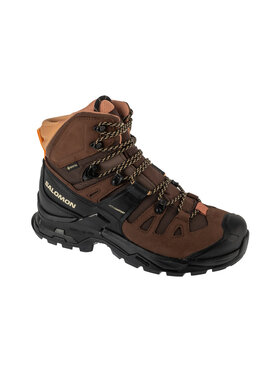 Salomon Salomon Buty wspinaczkowe Quest 4 GTX W Brązowy