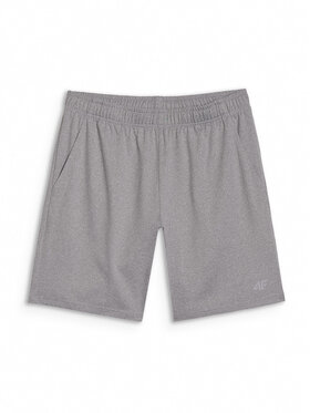 4F 4F Sportovní kraťasy MULTI ACTIVE Šedá Regular Fit