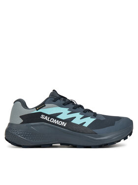 Salomon Salomon Běžecké boty Alphaglide Gore-Tex L47802500 Šedá