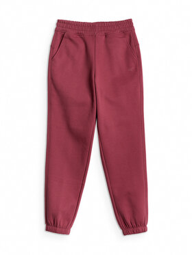 4F 4F Spodnie dresowe BASIC+ Bordowy Regular Fit