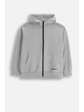 Coccodrillo Coccodrillo Mikina ZC5132401VBA-019 Šedá Regular Fit