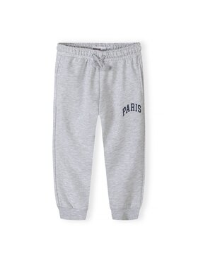 MINOTI MINOTI Spodnie dresowe 18FLEECE 62 Szary Regular Fit