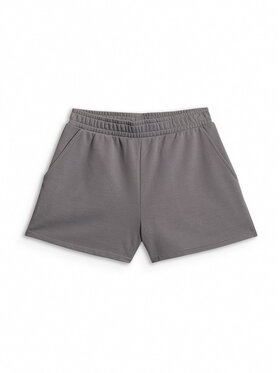 4F 4F Szorty sportowe ESSENTIAL 4 Szary Regular Fit