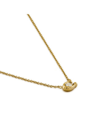 Κολιέ Coach φωτογραφία