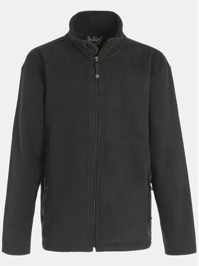 ZigZag ZigZag Флісовий реглан Zap Fleece Z211077 Чорний Regular Fit