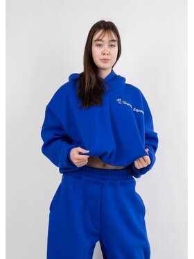 DKaren Sport DKaren Sport Bluza EqB27 001 Niebieski Classic Fit