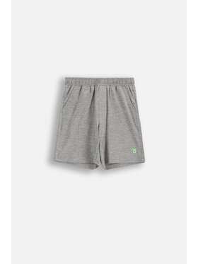 Lemon Explore Lemon Explore Szorty materiałowe WL6120502ACB-019 Szary Regular Fit
