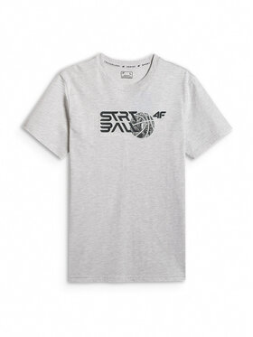 4F 4F T-Shirt ESSENTIAL 2 Szary jasny Regular Fit
