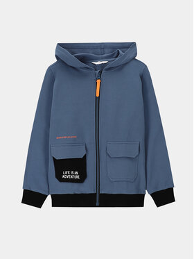 Coccodrillo Coccodrillo Sweatshirt WC4132402DEK Blau Regular Fit