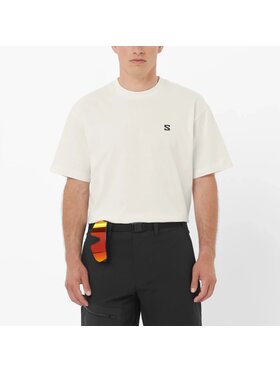 Salomon Salomon T-Shirt ROUND LOGO GRAPHIC Beżowy Regular Fit