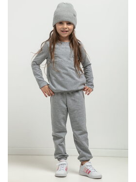 Tessita Tessita Spodnie dresowe SPODNIE MMD38_2_98 Szary Relaxed Fit