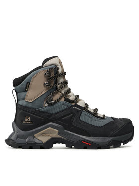 Salomon Salomon Turistiniai batai Quest Element Gtx W GORE-TEX 414574 20 V0 Spalvota