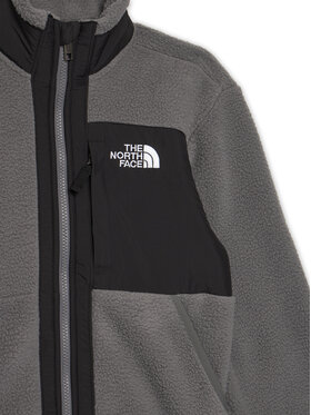 Fleece The North Face φωτογραφία