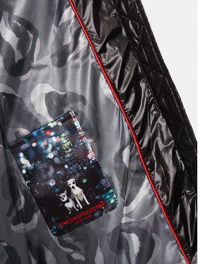 Μπουφάν χειμωνιάτικο Frieda & Freddies φωτογραφία