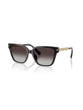 Michael Kors Michael Kors Okulary przeciwsłoneczne 579 Czarny