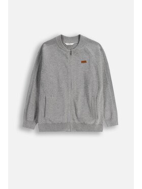 Coccodrillo Coccodrillo Sweter ZC5172201CBJ-019 Szary Regular Fit