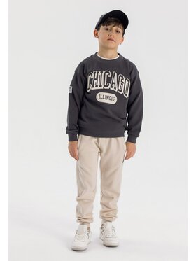 MINOTI MINOTI Spodnie dresowe 23fleece43 Szary Regular Fit