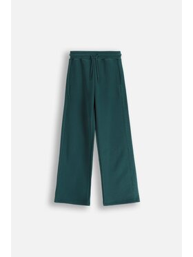 Coccodrillo Coccodrillo Spodnie dresowe WC5120101MGJ-011 Zielony Regular Fit