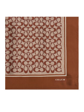 Φουλάρι Coach φωτογραφία