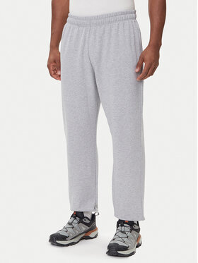 The North Face The North Face Spodnie dresowe Expedition Celebration NF0A8E3E Szary Relaxed Fit