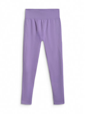 4F 4F Legginsy MULTI ACTIVE Fioletowy Slim Fit