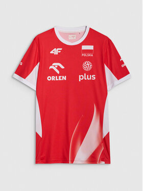 4F 4F T-Shirt TEAMWEAR Kolorowy Regular Fit