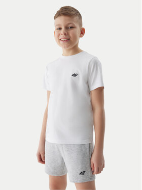 4F 4F Спортни шорти 4FJWSS24TSHOM272 Сив Regular Fit