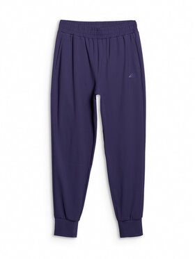 4F 4F Spodnie dresowe BASIC+ Granatowy Regular Fit