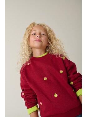 Tumble 'N Dry Tumble 'N Dry Bluza 84/21175/18178/3058 Czerwony Regular Fit
