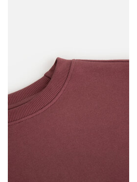 Coccodrillo Coccodrillo Bluza ZC3132103CGJ-017 Bordowy Regular Fit