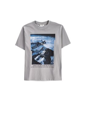 Coccodrillo Coccodrillo T-Shirt ZC6143204WBJ-019 Szary Regular Fit